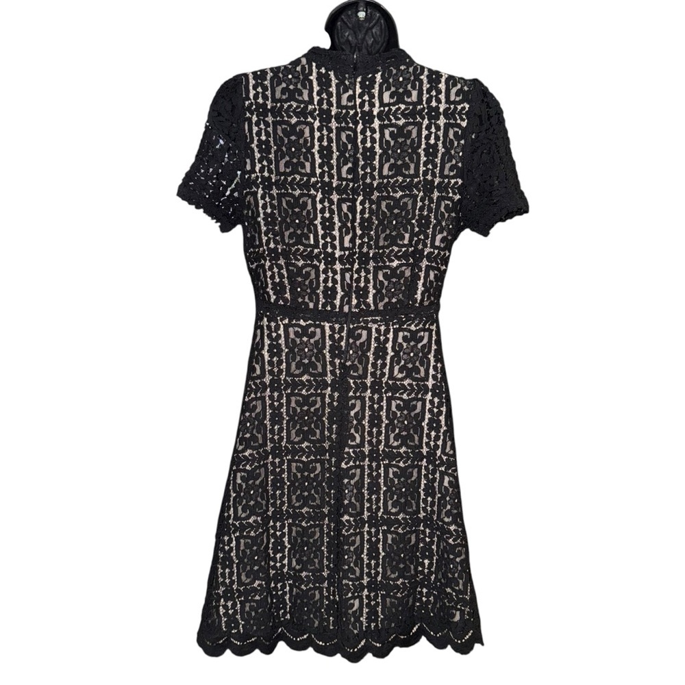 BB Dakota Black Lace Fit Flare Cocktail Dress Size 6 Scalloped Hem LBD - Picture 3 of 9